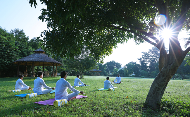 Yoga & Meditation